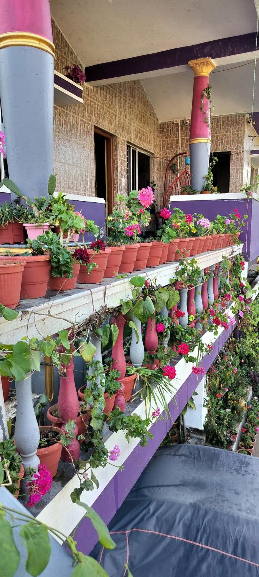 Royal Palm Homestay Madikeri Exterior foto